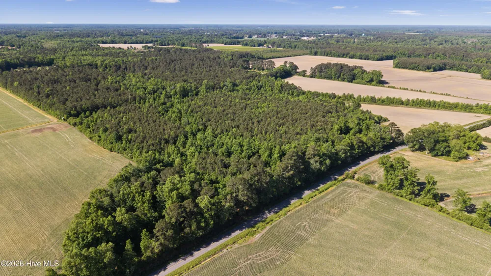 26 Acres High School Road Teachey, NC 28464