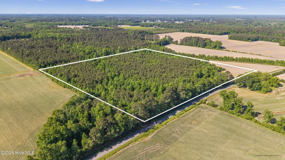26 Acres High School Road Teachey, NC 28464