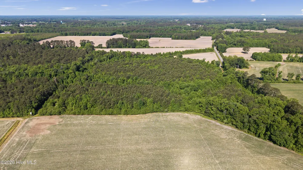 26 Acres High School Road Teachey, NC 28464