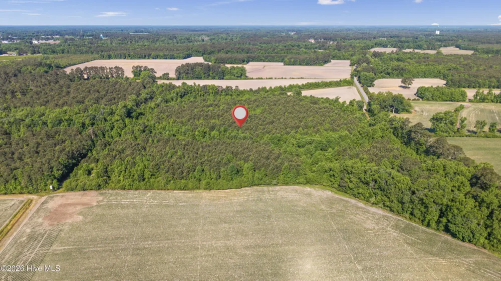 26 Acres High School Road Teachey, NC 28464