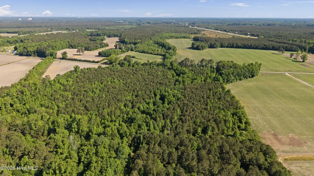 26 Acres High School Road Teachey, NC 28464