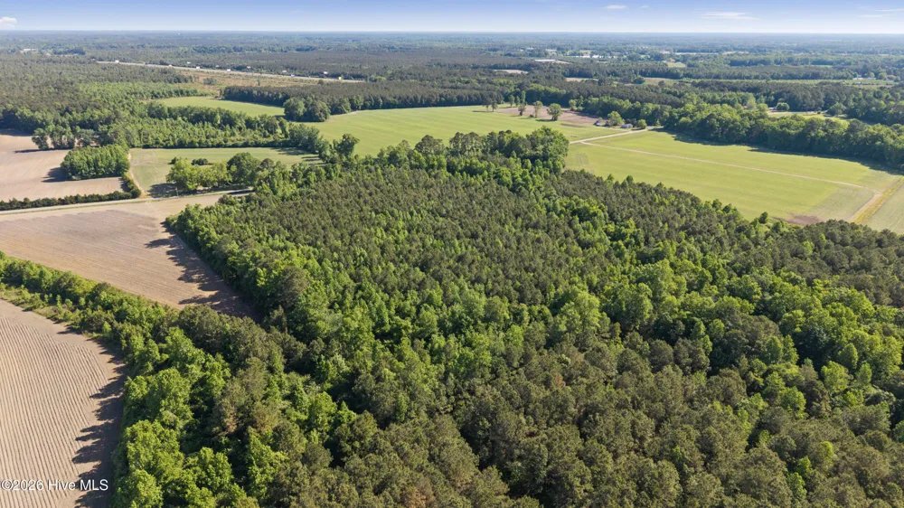 26 Acres High School Road Teachey, NC 28464
