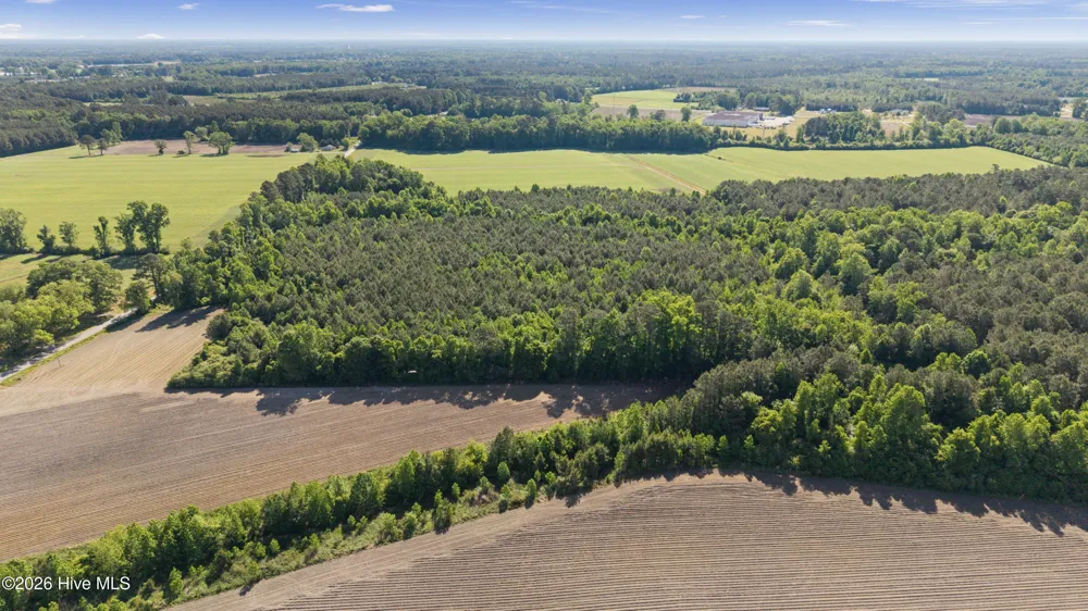 26 Acres High School Road Teachey, NC 28464