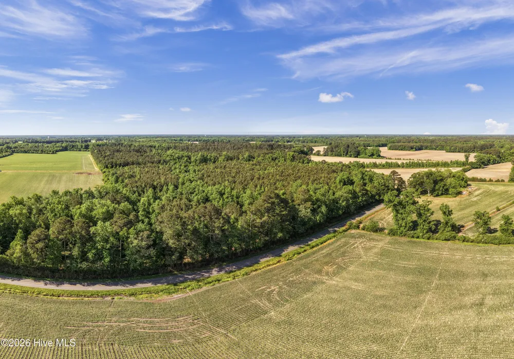 26 Acres High School Road Teachey, NC 28464