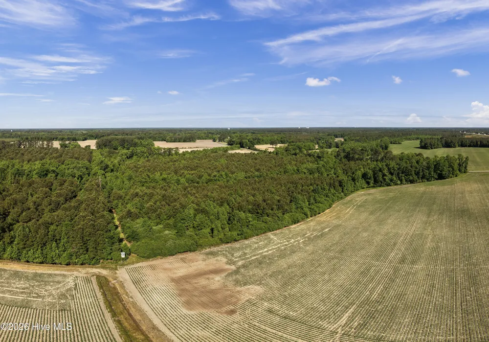 26 Acres High School Road Teachey, NC 28464