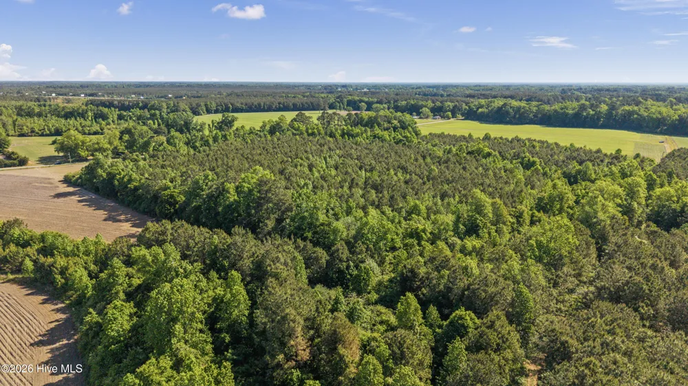 26 Acres High School Road Teachey, NC 28464
