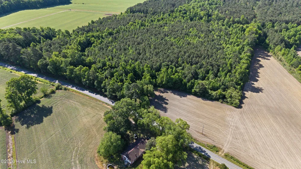 26 Acres High School Road Teachey, NC 28464