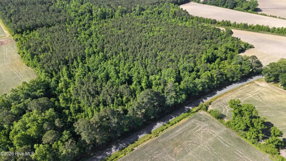 26 Acres High School Road Teachey, NC 28464