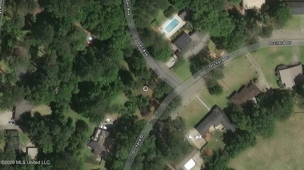 0 Orchard Drive Columbia, MS 39429