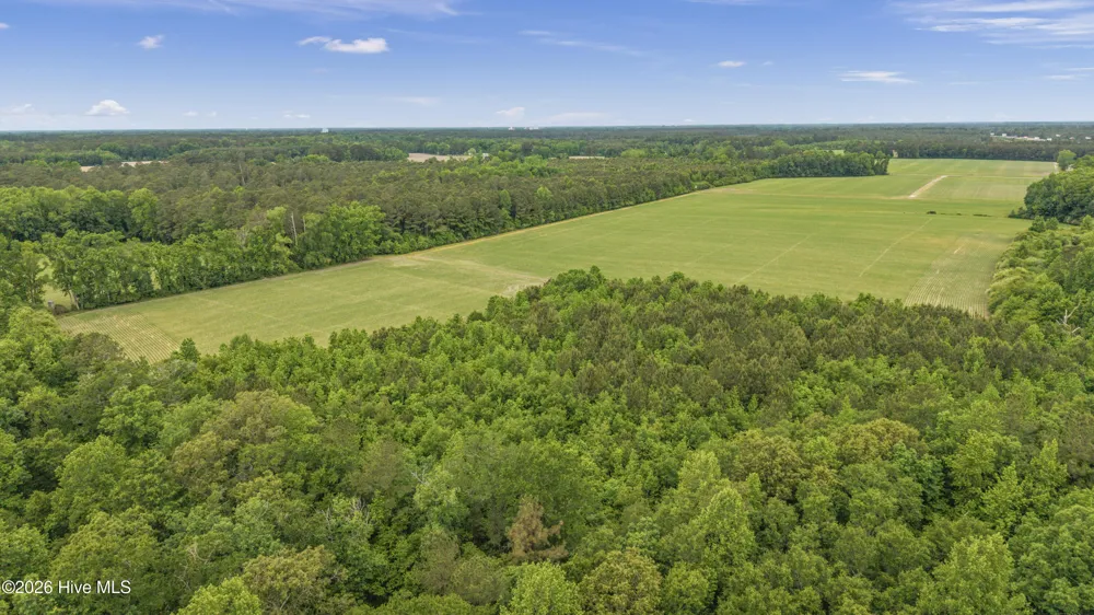 34.4 Acres High School Road Teachey, NC 28464