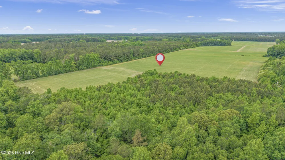 34.4 Acres High School Road Teachey, NC 28464