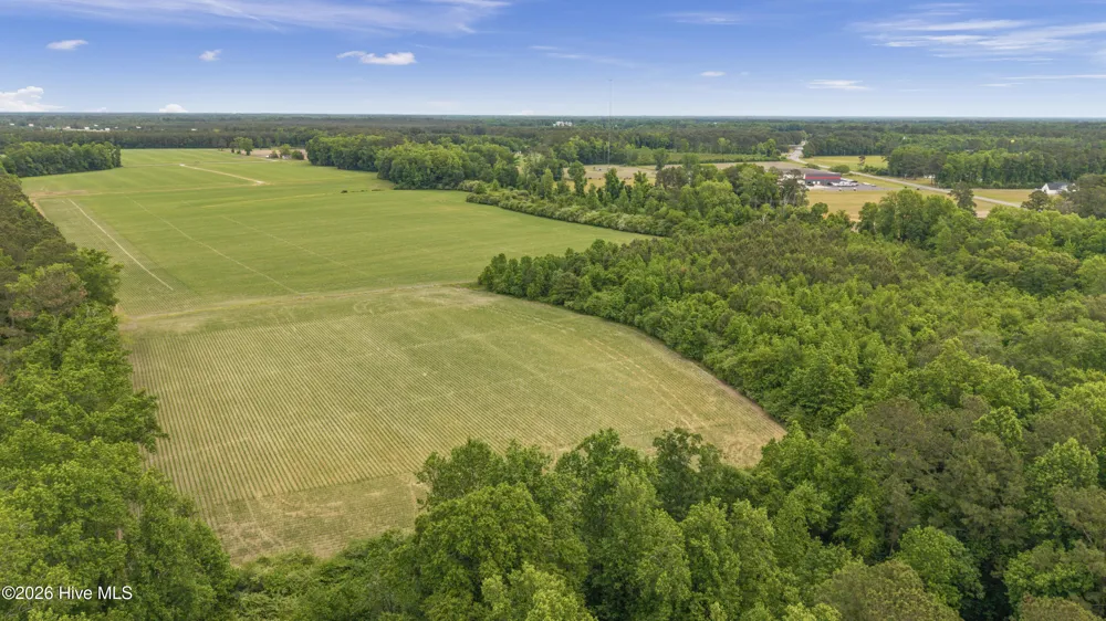 34.4 Acres High School Road Teachey, NC 28464