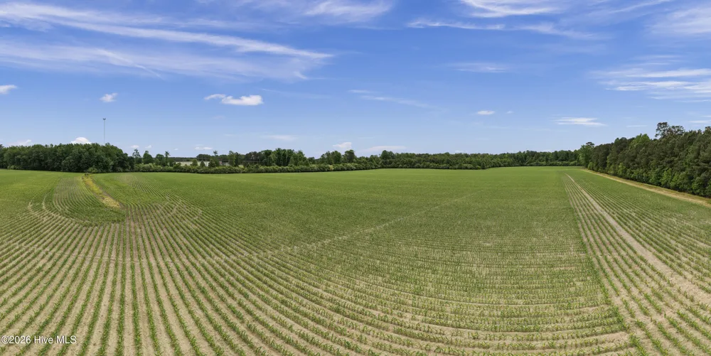 34.4 Acres High School Road Teachey, NC 28464