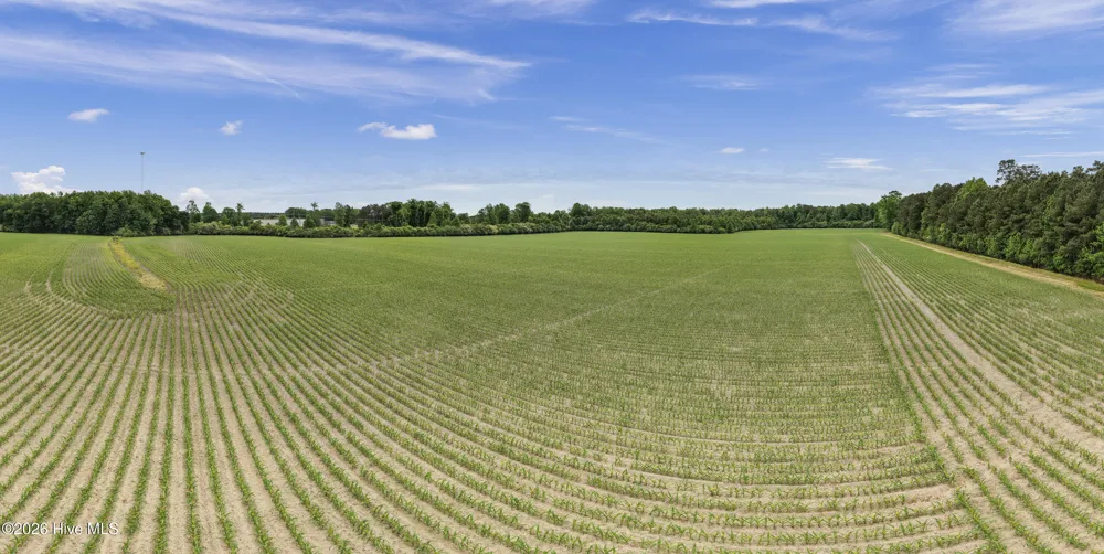 34.4 Acres High School Road Teachey, NC 28464
