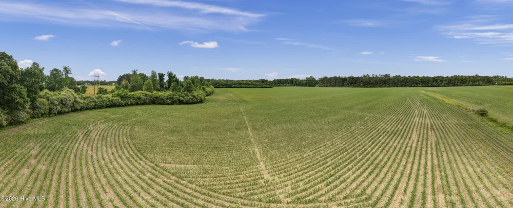 34.4 Acres High School Road Teachey, NC 28464