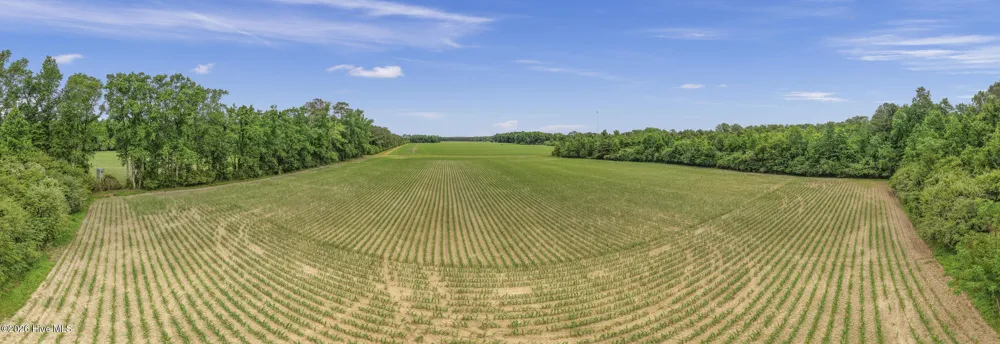 34.4 Acres High School Road Teachey, NC 28464