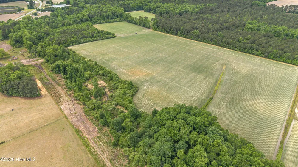 34.4 Acres High School Road Teachey, NC 28464