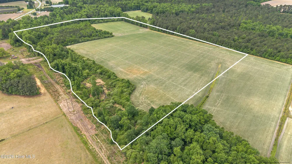 34.4 Acres High School Road Teachey, NC 28464