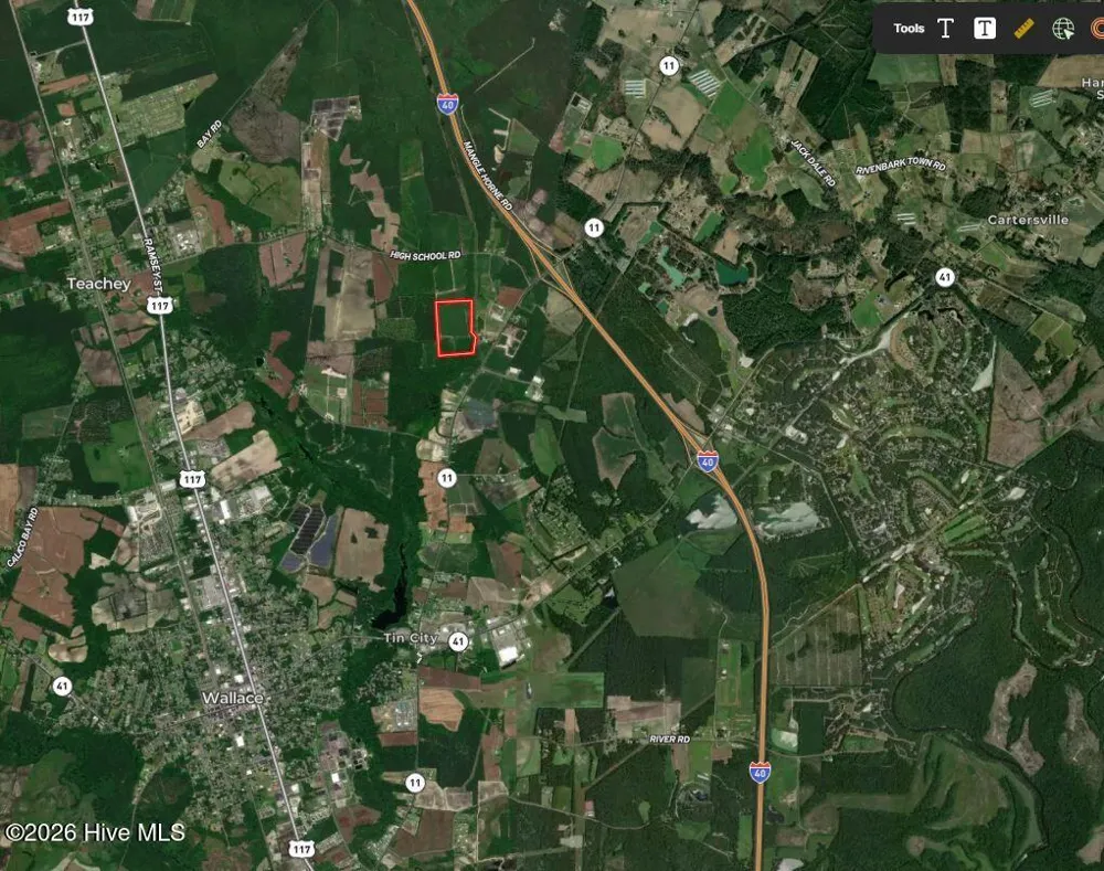 34.4 Acres High School Road Teachey, NC 28464