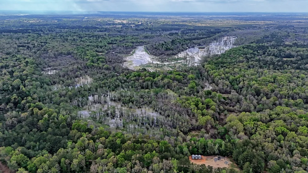 County Rd 401 Carthage, TX 75633
