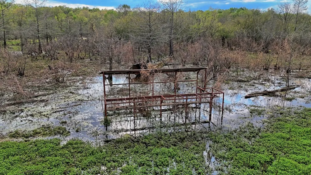 County Rd 401 Carthage, TX 75633