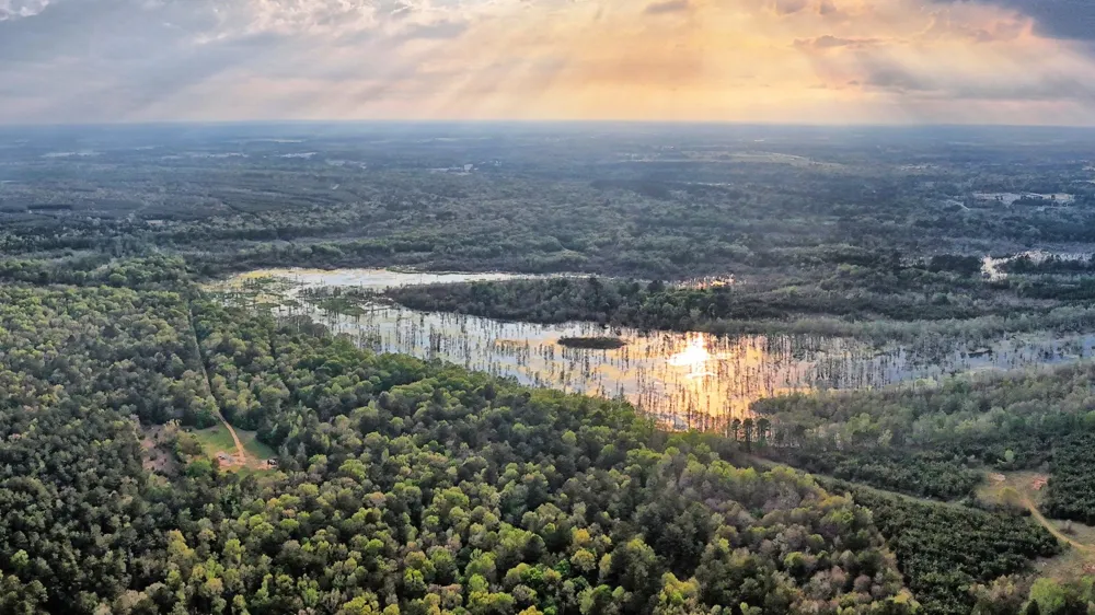 County Rd 401 Carthage, TX 75633