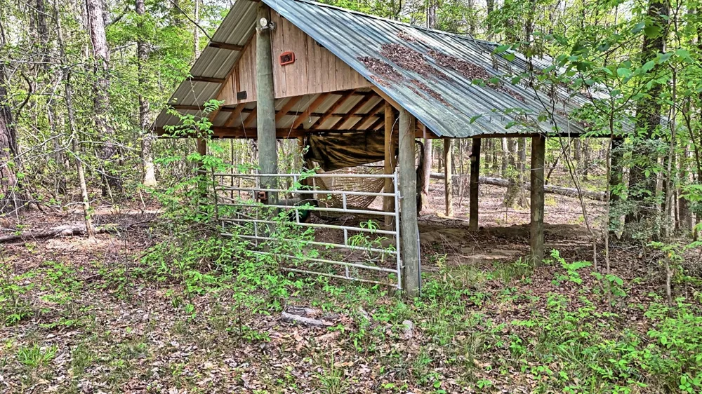 County Rd 401 Carthage, TX 75633