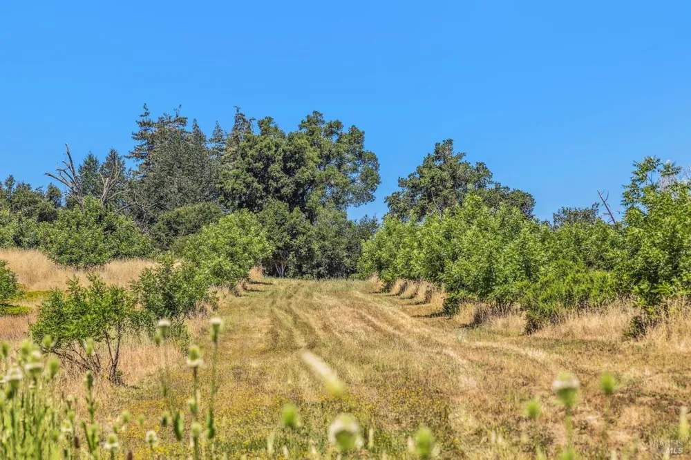 3567 State Highway 128 Calistoga, CA 94515