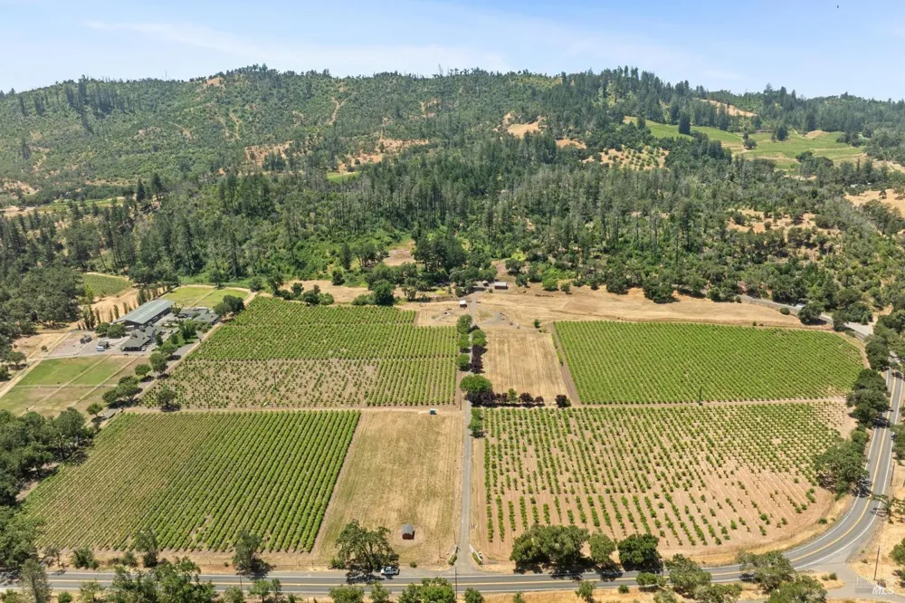 3567 State Highway 128 Calistoga, CA 94515