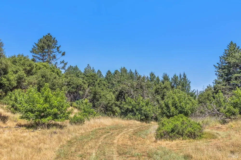 3567 State Highway 128 Calistoga, CA 94515