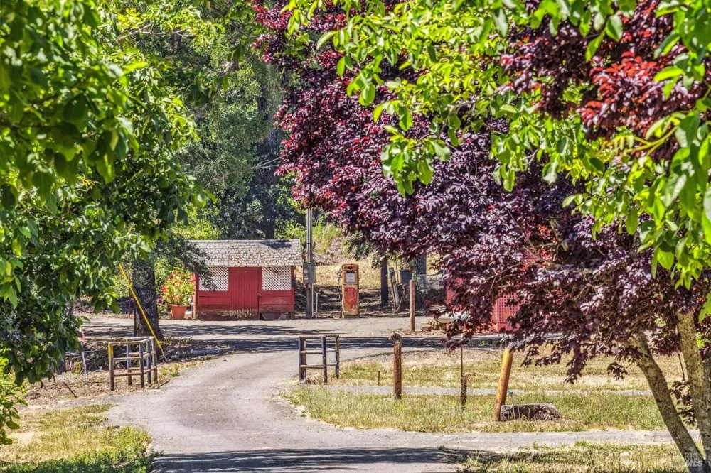 3567 State Highway 128 Calistoga, CA 94515