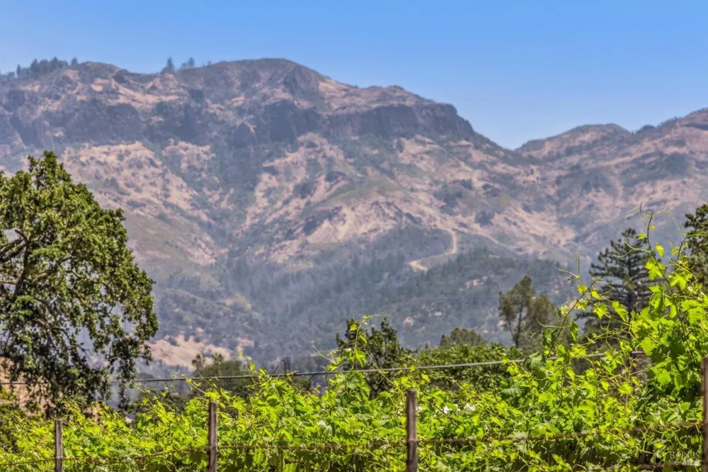3567 State Highway 128 Calistoga, CA 94515