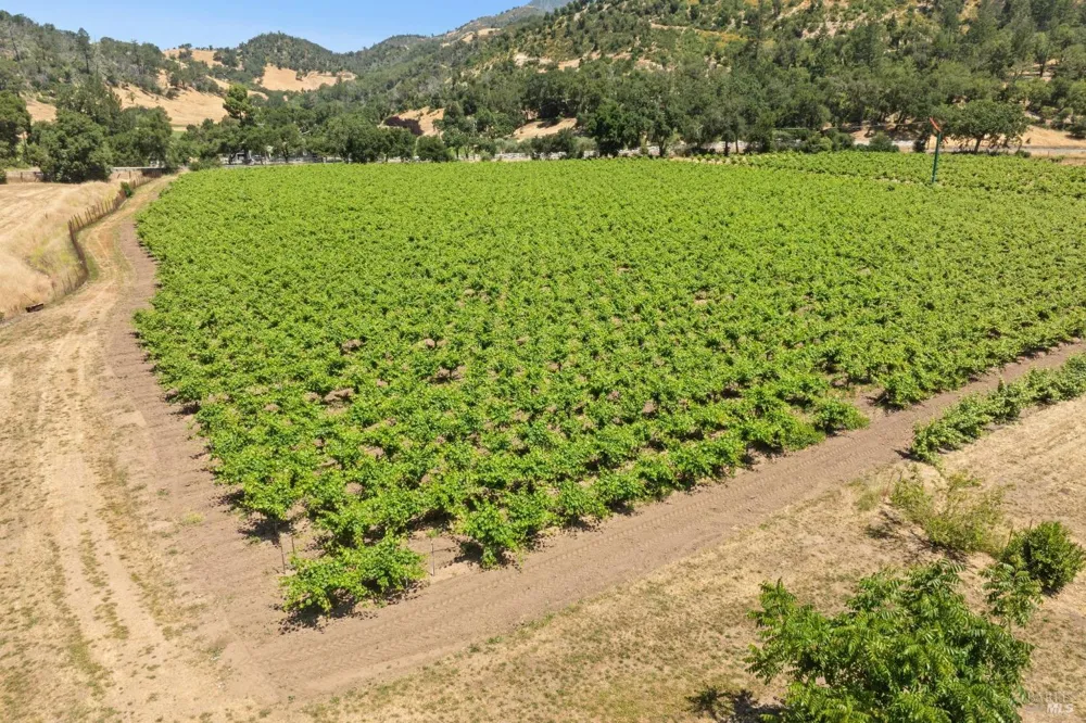 3567 State Highway 128 Calistoga, CA 94515
