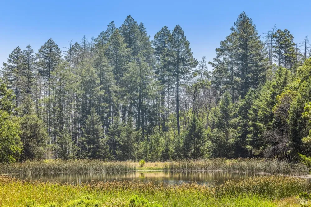 3567 State Highway 128 Calistoga, CA 94515
