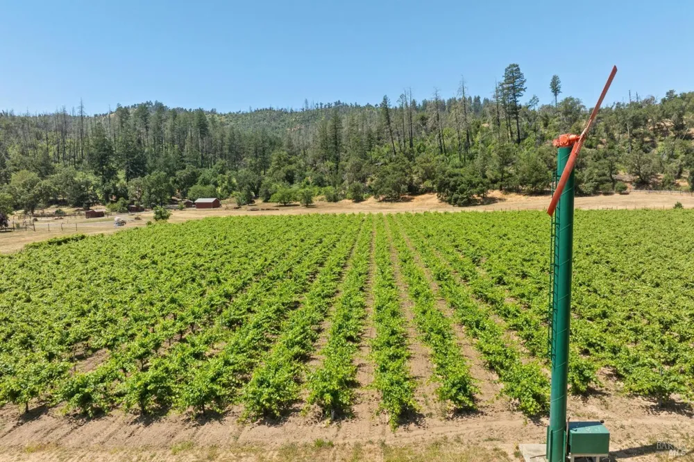 3567 State Highway 128 Calistoga, CA 94515