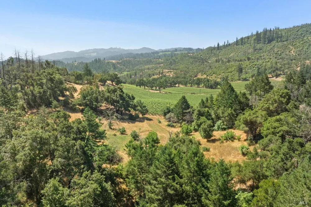 3567 State Highway 128 Calistoga, CA 94515