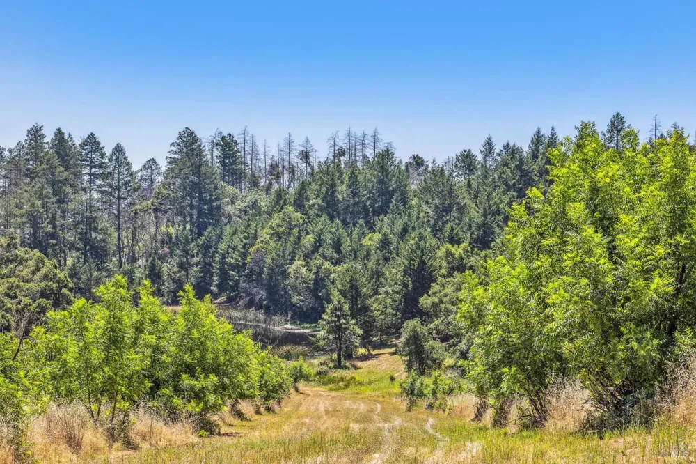 3567 State Highway 128 Calistoga, CA 94515