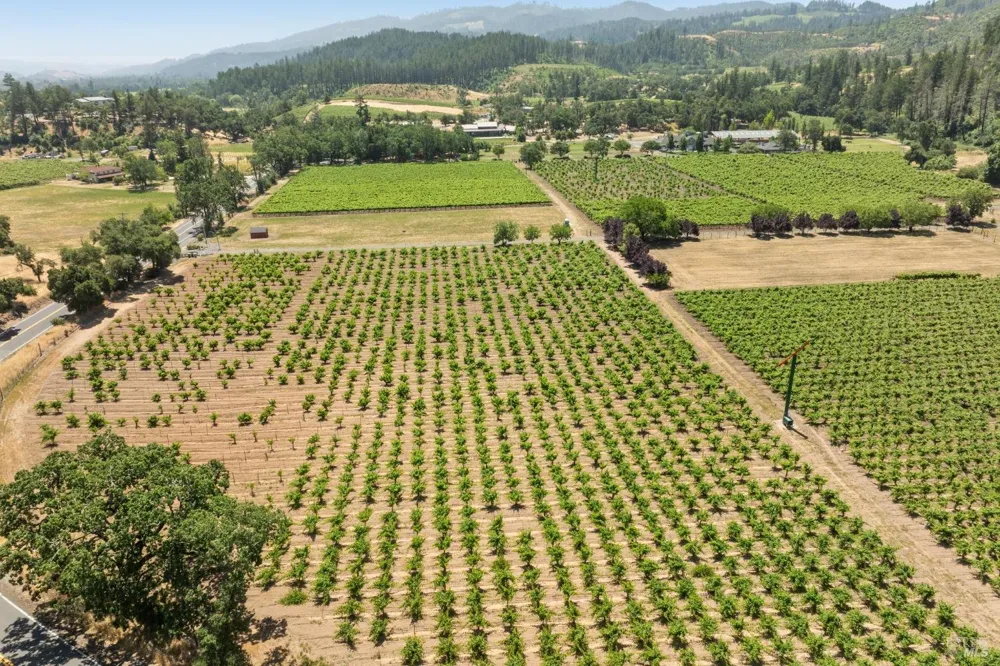 3567 State Highway 128 Calistoga, CA 94515
