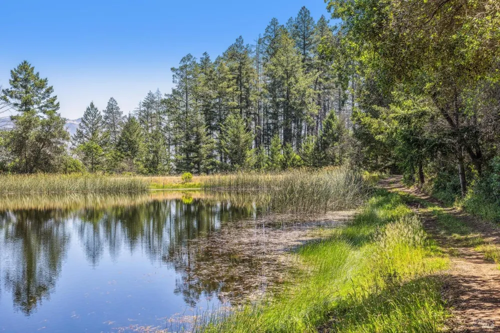3567 State Highway 128 Calistoga, CA 94515