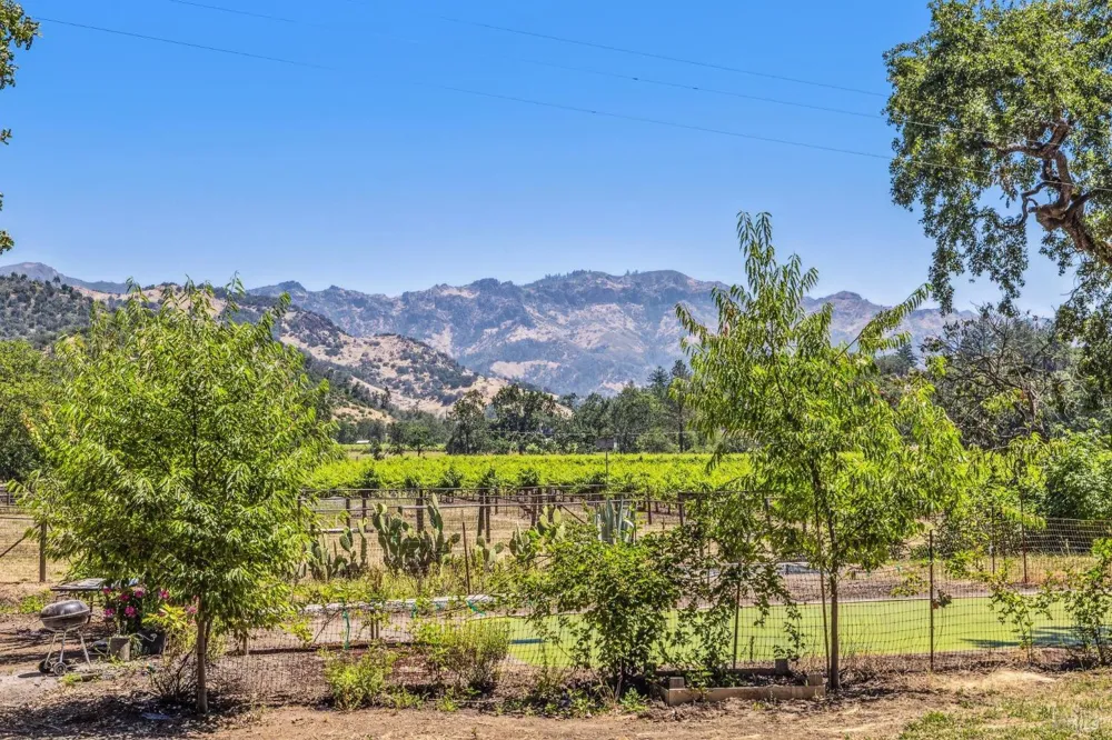 3567 State Highway 128 Calistoga, CA 94515