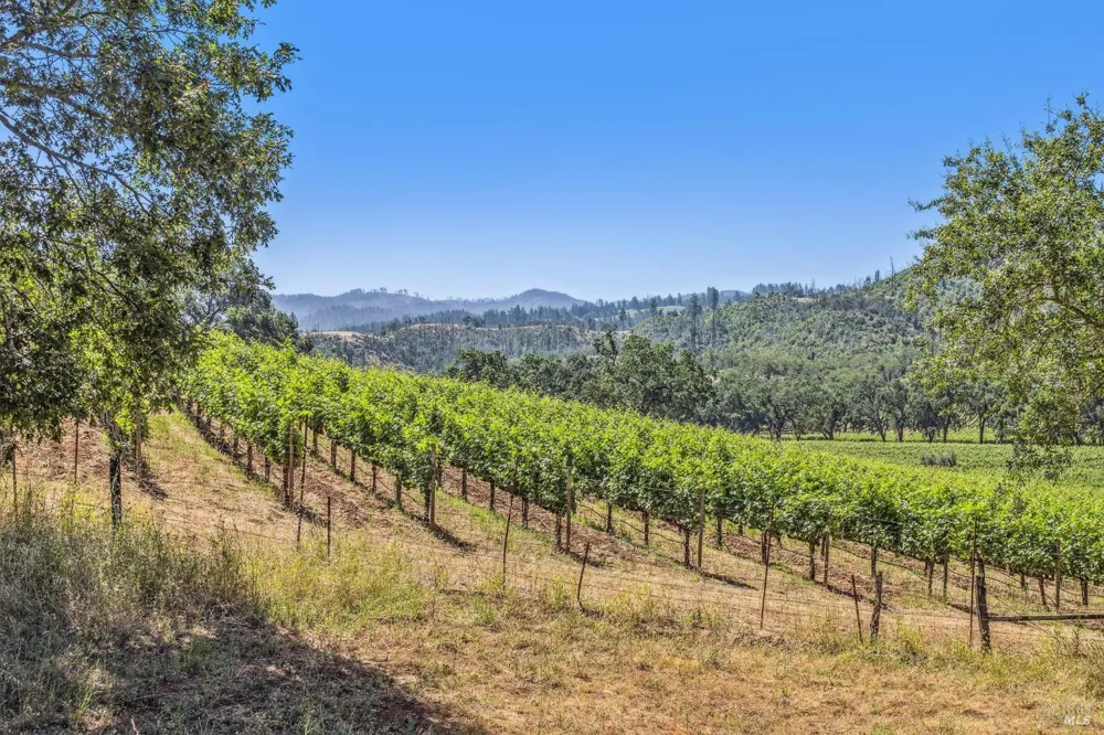 3567 State Highway 128 Calistoga, CA 94515