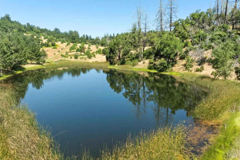 3567 State Highway 128 Calistoga, CA 94515