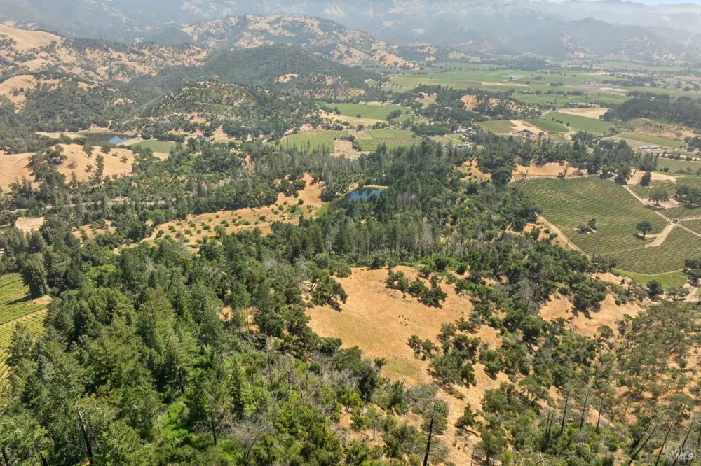 3567 State Highway 128 Calistoga, CA 94515