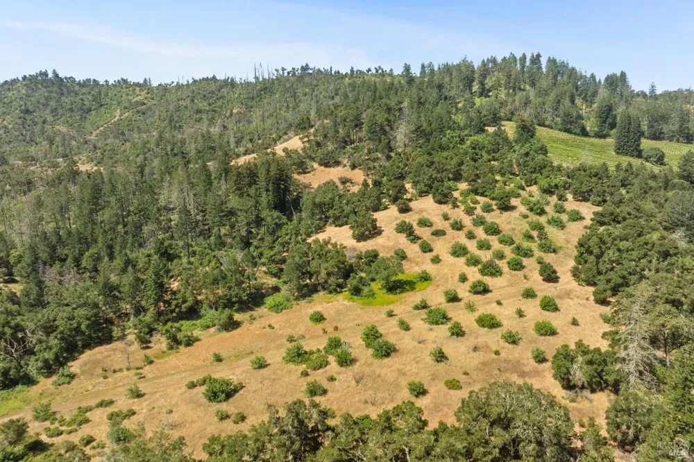 3567 State Highway 128 Calistoga, CA 94515