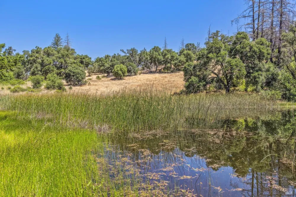 3567 State Highway 128 Calistoga, CA 94515