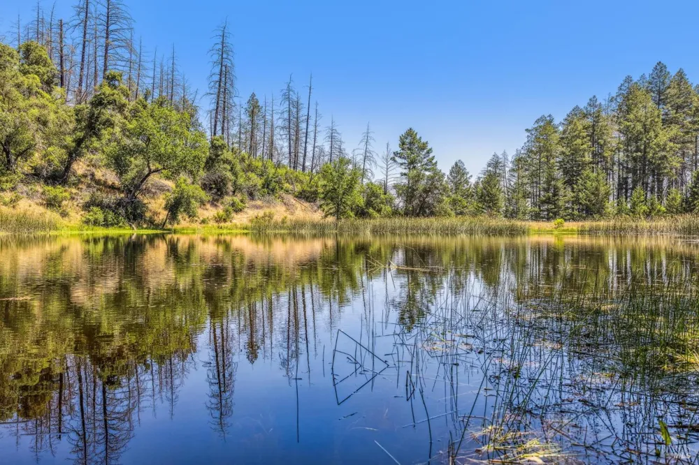3567 State Highway 128 Calistoga, CA 94515