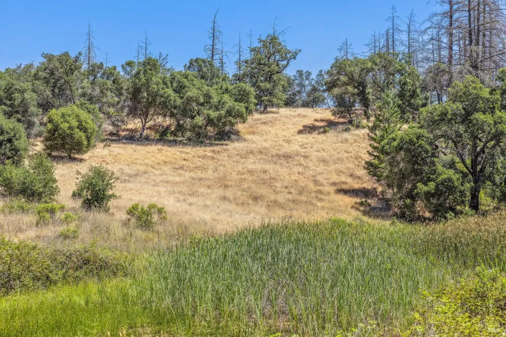 3567 State Highway 128 Calistoga, CA 94515