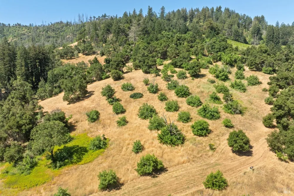 3567 State Highway 128 Calistoga, CA 94515