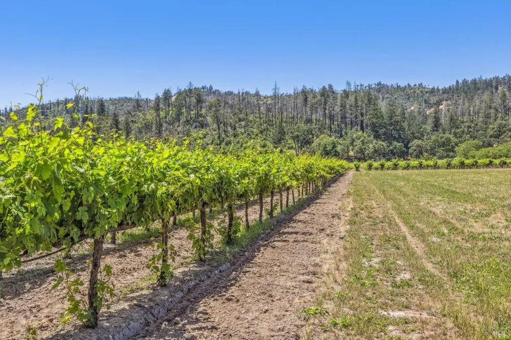 3567 State Highway 128 Calistoga, CA 94515