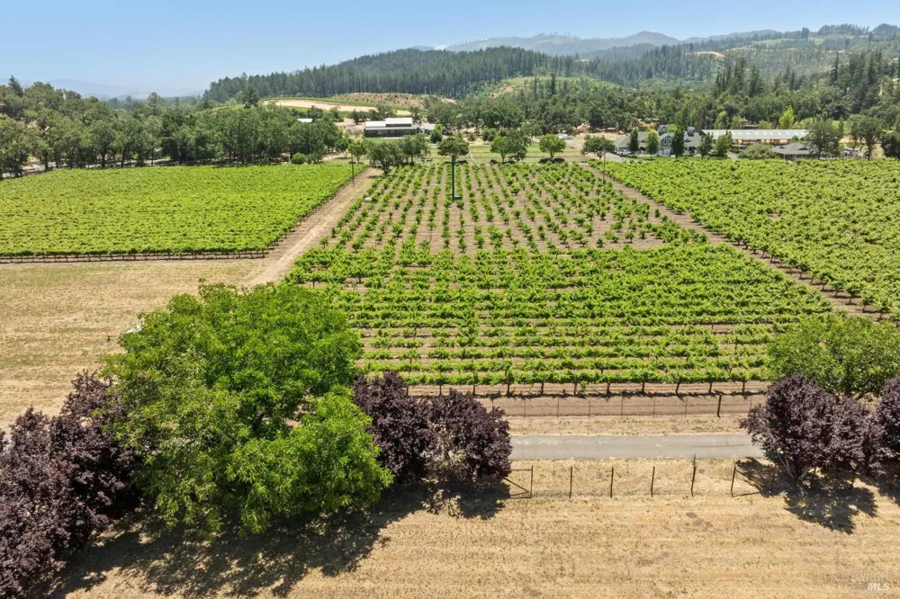 3567 State Highway 128 Calistoga, CA 94515